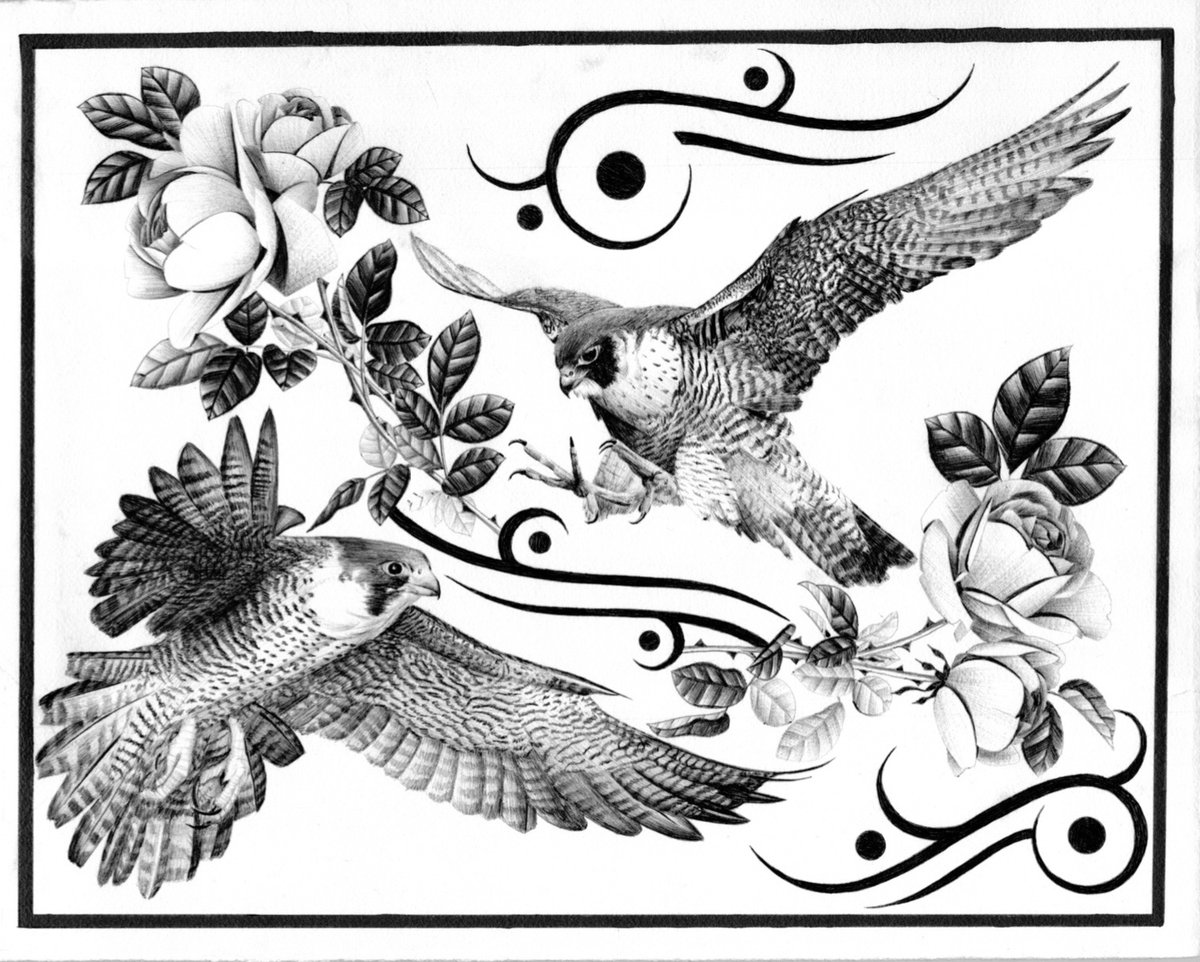 Falcons and roses