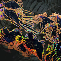 Image 2 of Corvids | glittery vinyl stickers