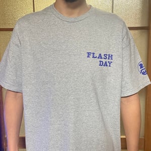 Image of Flash Day 2022 t shirts Gray 