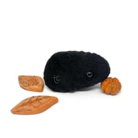 Image 1 of Emotional Support Bug: Black