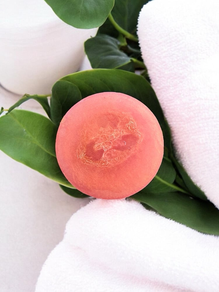 Image of Loofah Bar Soaps (OPTIONS)