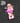 Marin-Chan Peeker