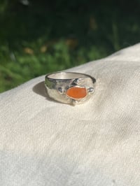 Image 3 of Spúnóg Oráiste 