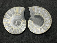 Image 2 of Pyrite Ammonite Fossil Pair #1268