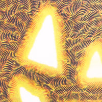 Image 2 of Ris-O-Lantern