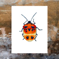 Image 3 of Camellia Shield Bug Art Print, Watercolor Shield Beetle Illustration, Insect Wall Decor