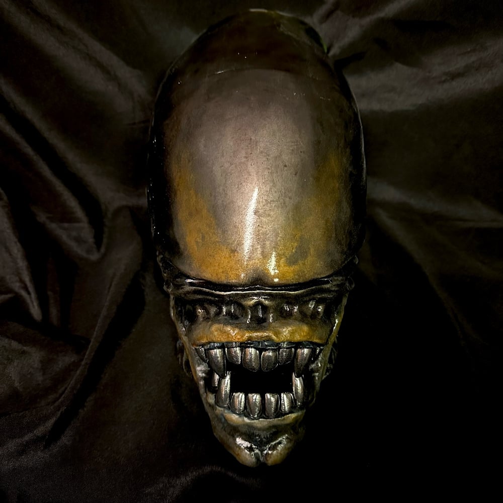 1:1 Scale Xenomorph Warrior Trophy Head