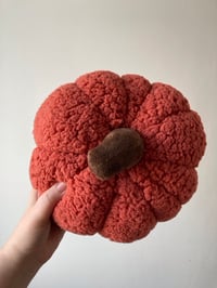 Image 3 of Fluffy pumpkin - Large.