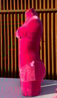 Image 2 of Pink Velour Micro Tops