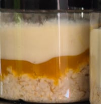 Tropical Coconut Fruitie Overnight Protein Oat Tub