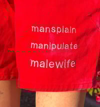 Image 1 of Mansplain Malewife Shorts SMALL