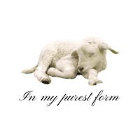 Image 2 of In my purest form tote bag 