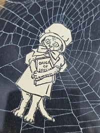 Image 3 of Antique Cat Collection - Cat engravings with real preserved web- L