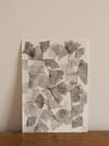 Ginkgo biloba 01 - A4 - Original Botanical Monoprint 