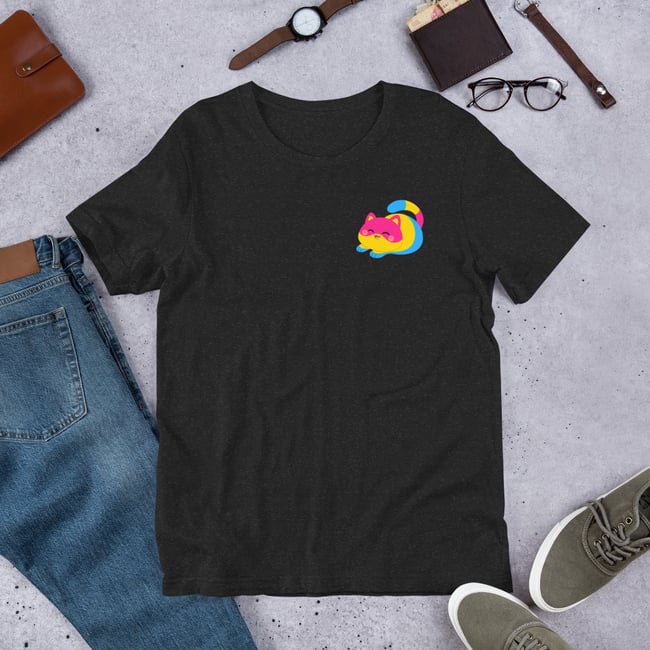 Pride Pansexual Flag Kitty t-shirt