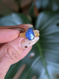 Image 1 of The Andrea