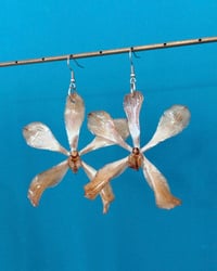 Image 1 of Aretes | Orquídea Vanda (p)