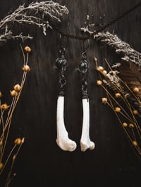 Image 1 of Bone and Glass