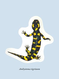 Image 15 of Stickers