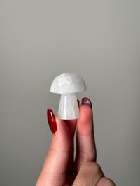 SATIN SPAR SELF STANDING MUSHROOMS