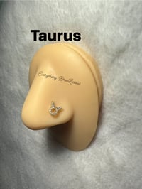 Image 1 of Zodiac Signs Nose Studs