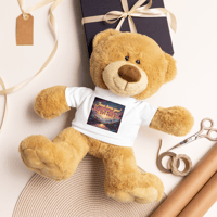 Teddy bear with a t-shirt (Jesus loves you! Emma)