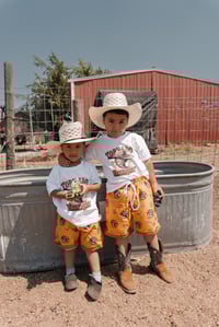 Image 1 of Wild West Shorts