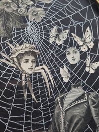 Image 6 of VICTORIAN SPIDER PEOPLE - real Preserved Web 9 