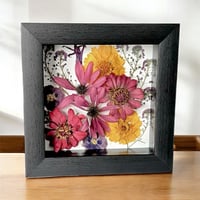 Image 2 of  Zinnias, Cone Flowers, Coreopsis, & Sweet Alyssum in a 6" X 6" Shadow Box (Item# 202507S)
