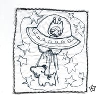 Image 7 of stitched patches