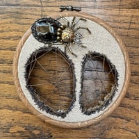 Image 4 of Snake skin spider web (b, 4 inches)