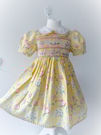 Image 3 of Flora Moonglow - 2/3 years 