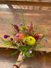 TUESDAY Ten Mothers Farm CSA members - Chapel Hill, Carrboro, Hillsborough, & Farm Pickup Locations 