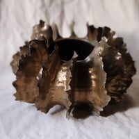 Image 3 of Erizos de cobre