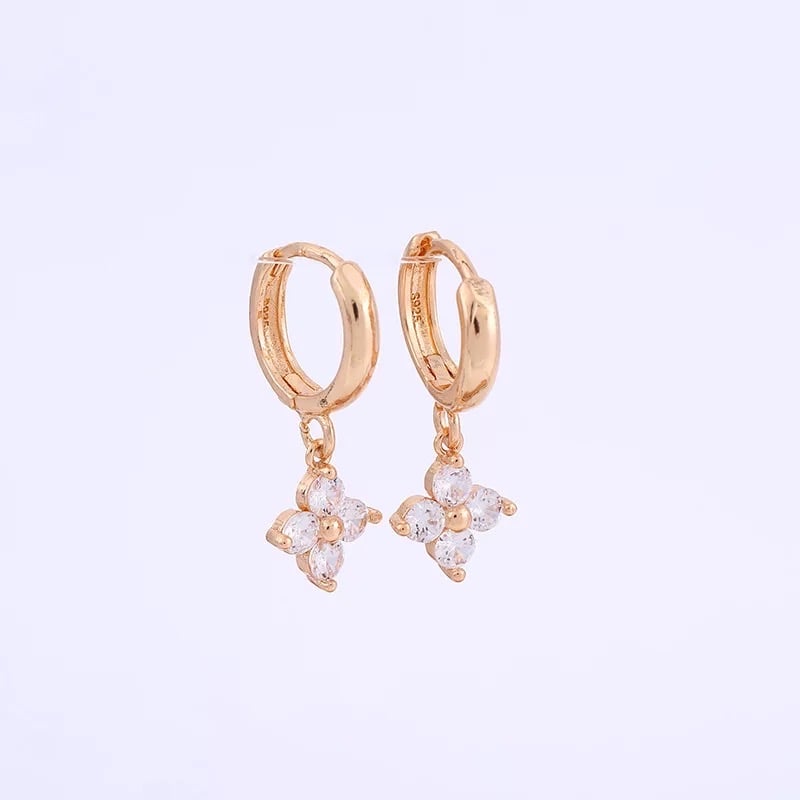 Image of The pretty girl earrings (70% off)
