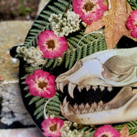 Image 6 of Fox Skull and Roses 