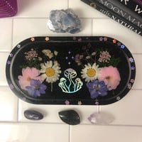 Image 2 of Trays