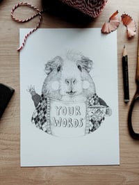 Image 1 of TED TALKS