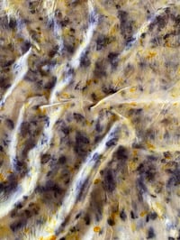 Silk Scarf 004