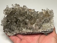 Image 19 of Smoky Quartz Cluster | Brazil #2984