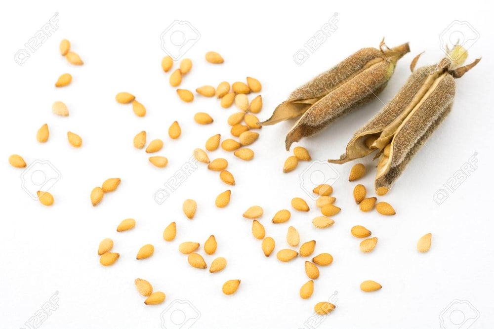 HIGH PROTEIN Raw-UNheated-Fine Pressed-Black/White Sesame Seeds & Protein Powder-Muscle-Gains