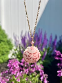 Image 2 of Scallop Shell Necklace N182