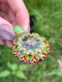 Image 1 of Snapdragon