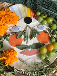 Image 3 of Vision face plate