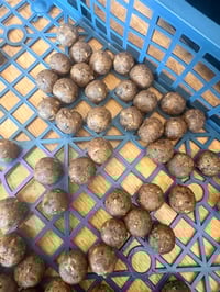 Image 3 of Crab, liver and krill boilies