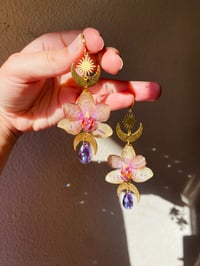 Image 2 of 💛💜Moth Orchid Moon Phase Shaniquas💜💛