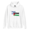 Gaza Centrism Hoodie