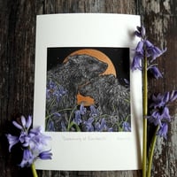 Image 3 of Dreaming Of Bluebells ~ Limited Edition Print