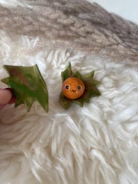 Image 2 of Flat lay prop conker with two shells 
