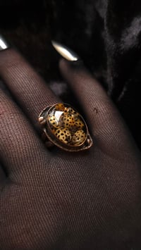 Image 1 of Ladybird mosh pit ring